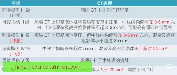 赛车手撞车后接受脑震荡评估，赛事医疗流程启动